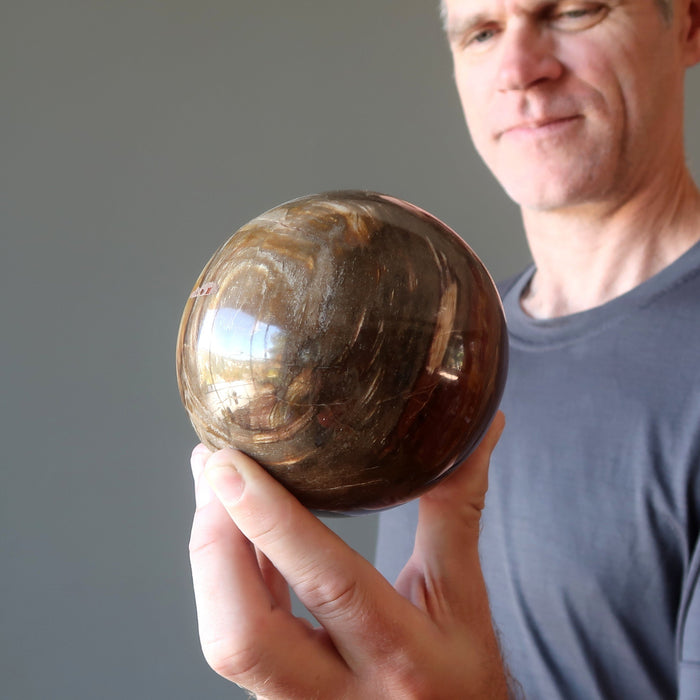 Petrified Wood Sphere Nature Wonderland Color Swirl Crystal Ball