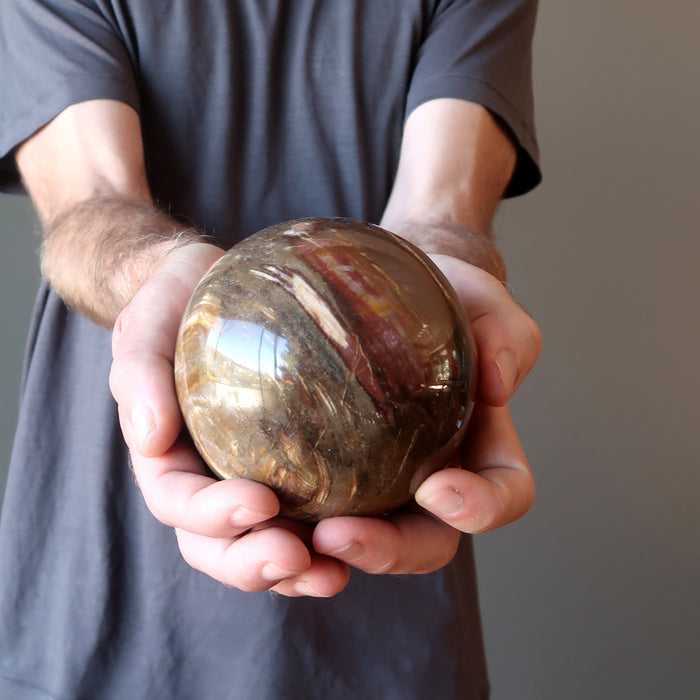 Petrified Wood Sphere Nature Wonderland Color Swirl Crystal Ball