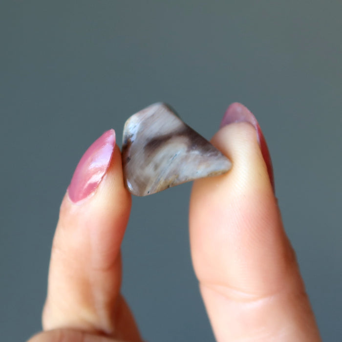 Petrified Wood Tumbled Stones Nature's Chocolate Self-Care Gem