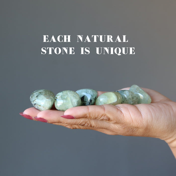 Prehnite Tumbled Stones Set Dream Self-Care Green Crystal