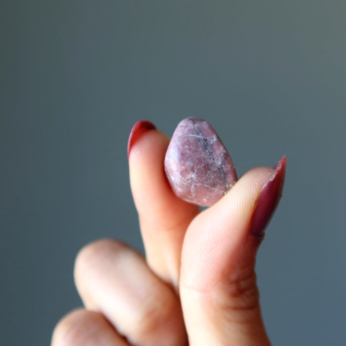 Rhodonite Tumbled Stones My Social Circle Pink Love Crystal