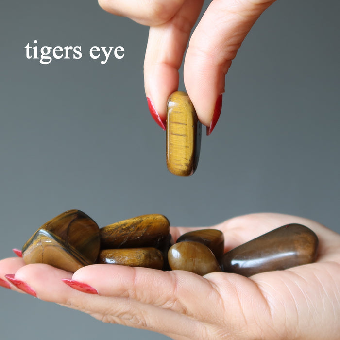 Root Chakra Tumbled Stone Set Shimmer Aragonite Tigers Eye