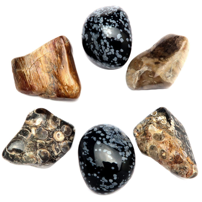 Root Chakra Tumbled Stone Set Earth Agate Obsidian Petrified Wood