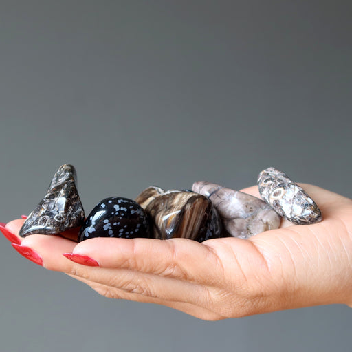 agate, obsidian, petrified wood tumbled stones