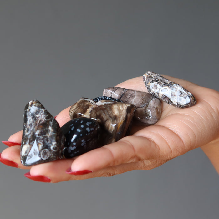 Root Chakra Tumbled Stone Set Earth Agate Obsidian Petrified Wood