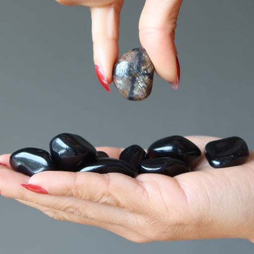 chiastolite and black obsidian tumbled stone set