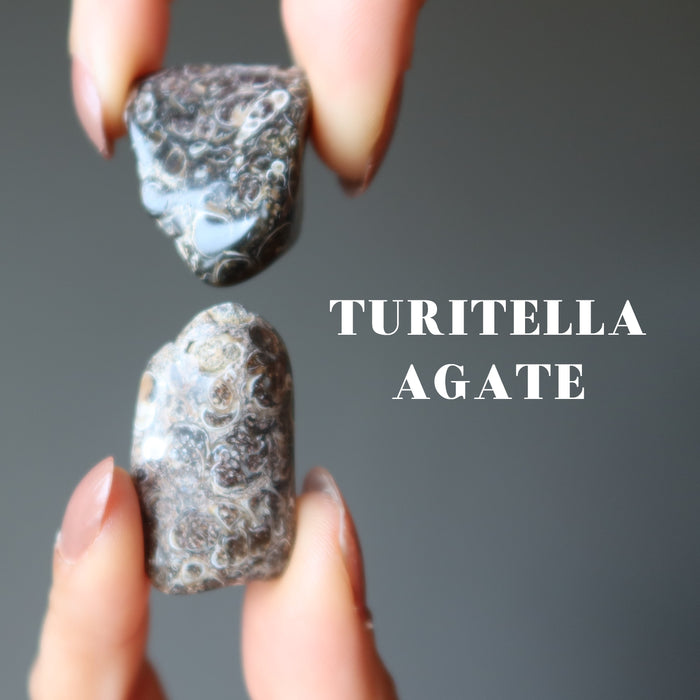hands holding brown turitella agate tumbled stones