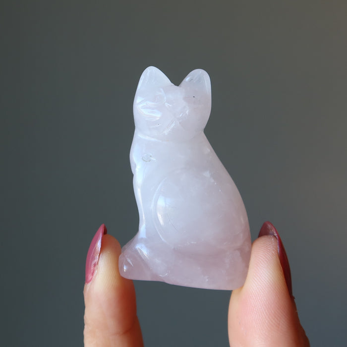 hand holding rose quartz cat