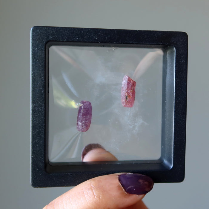 raw ruby crystals in suspension case
