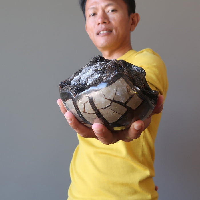 Septarian Egg Mighty Dragon Stone Power Strength Geode