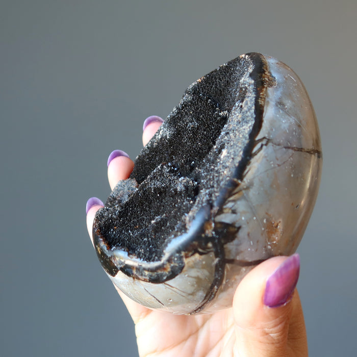 Septarian Egg Mighty Dragon Stone Power Strength Geode