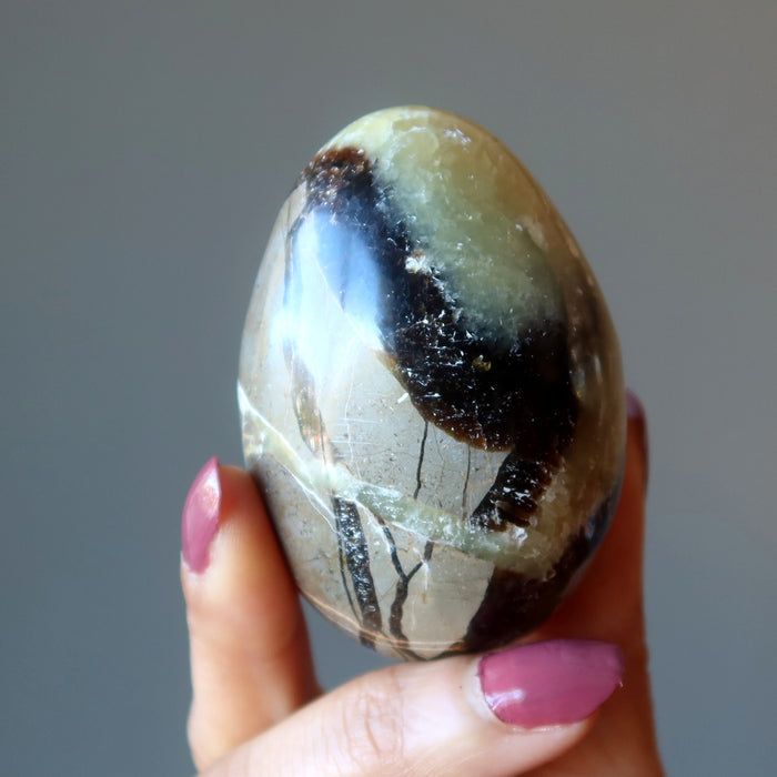 Septarian Egg A Dragon is Born Strength Stone Yellow Calcite