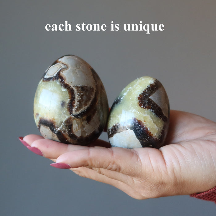 Septarian Egg A Dragon is Born Strength Stone Yellow Calcite