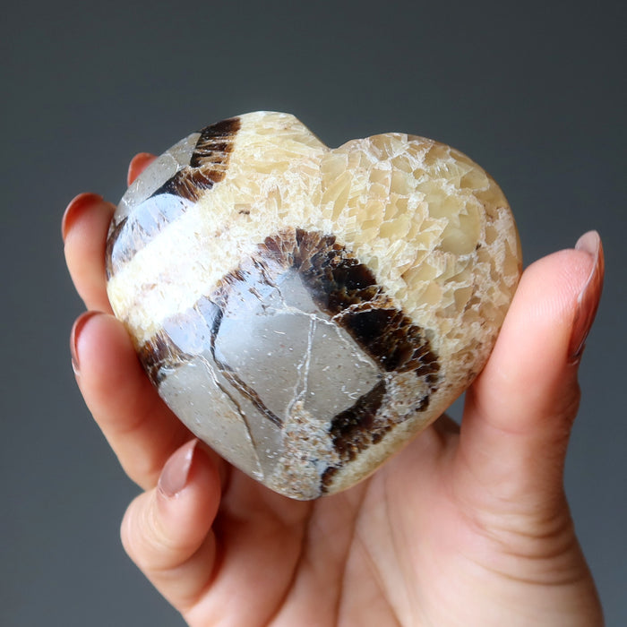 Septarian Heart Mosaic Beauty Dragon Stone Brown Yellow Calcite