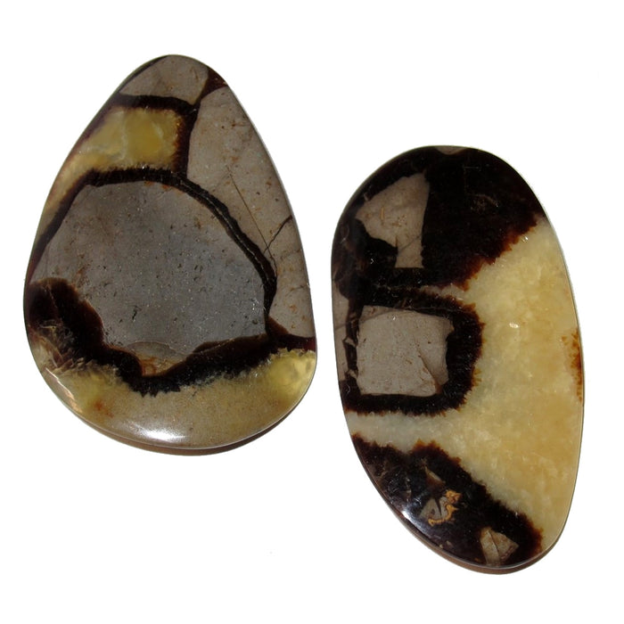 Septarian Palm Stone Set Scale of Mighty Dragon Crystals
