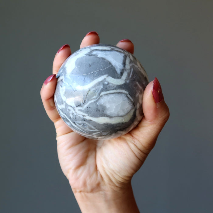 hand holding Shell Fossil Gray Limestone Sphere