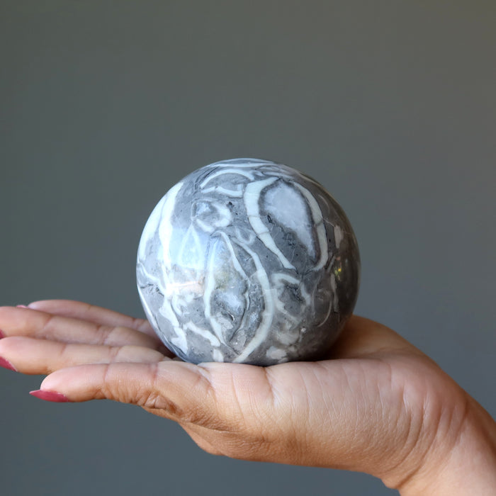 Brachiopod Fossil Sphere Time Shell Gray Limestone Crystal Ball — Satin ...