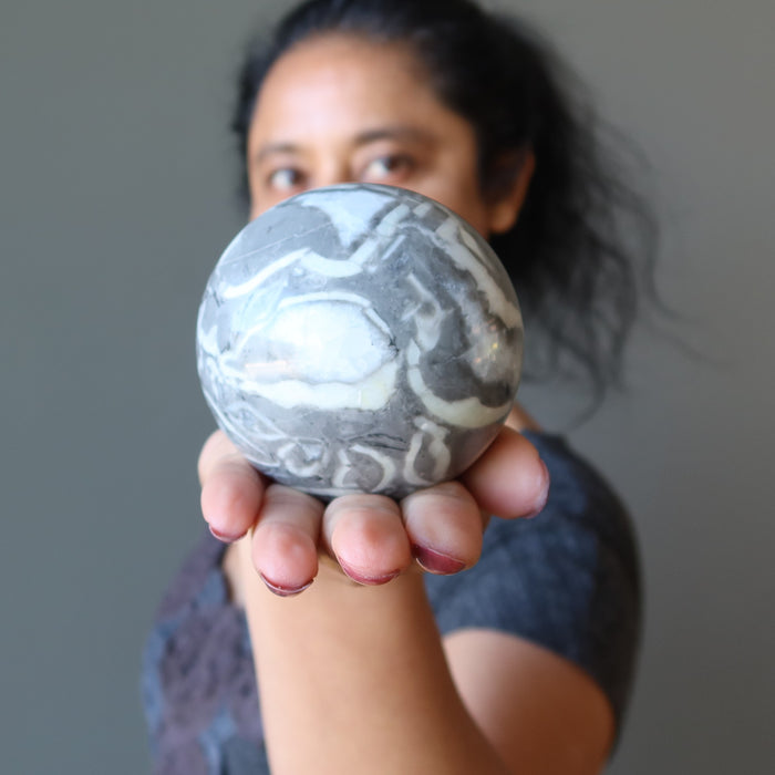 Brachiopod Fossil Sphere Time Shell Gray Limestone Crystal Ball