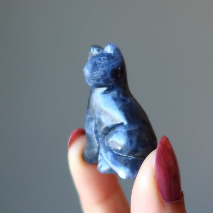 finger tips holding soldalite cat