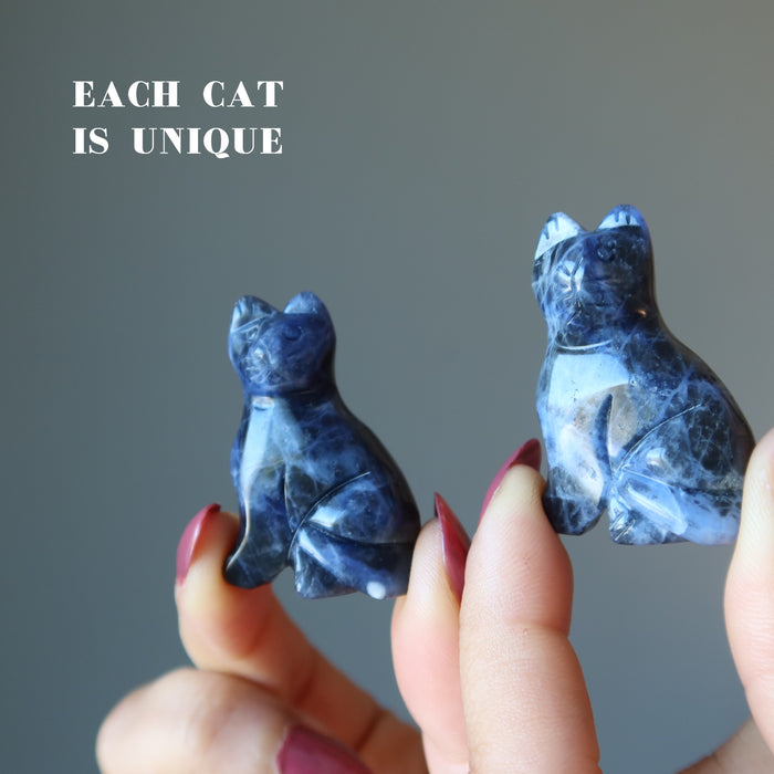 two sodalite cats each held with finger tips from both hands 