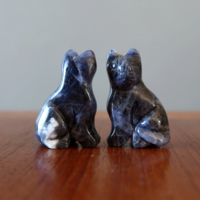 two soldalite cats