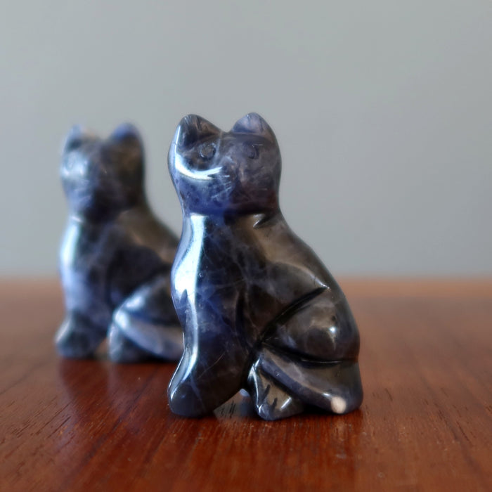 two soldalite cats