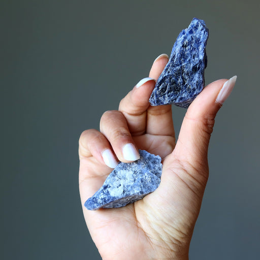 hand holding 2 Raw Sodalite Crystal 