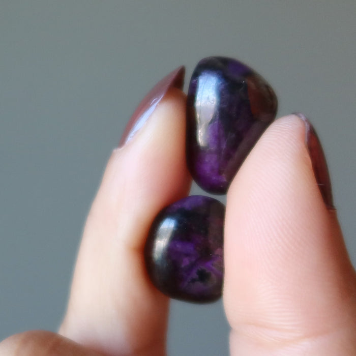 fingers holding 2 Sugilite Polished Stones