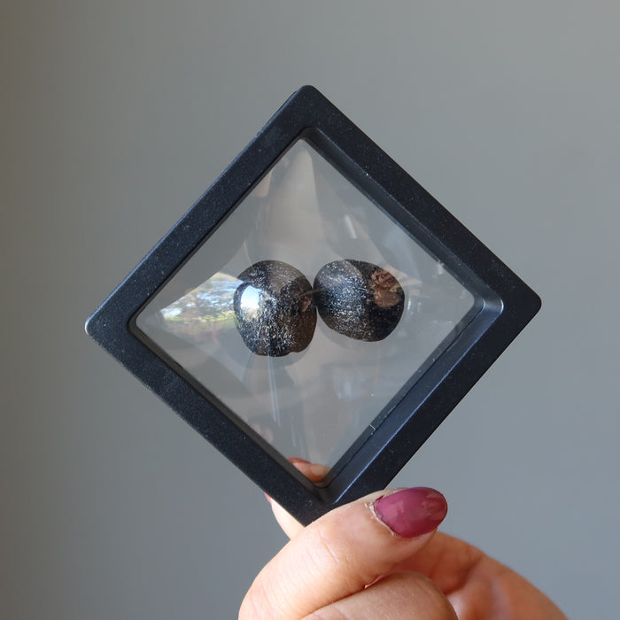 display in a floating case a pair of Two Round Black Tektite Meteorites 