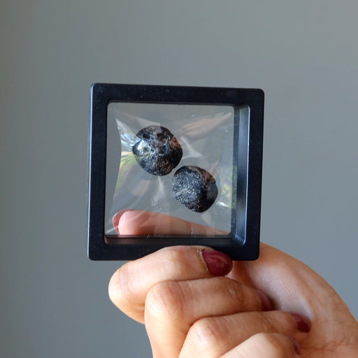 Two Round Black Tektite Meteorites in a floating case
