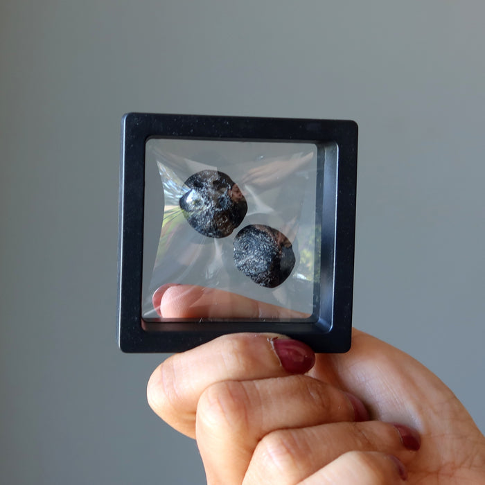 Two Round Black Tektite Meteorites in a floating case