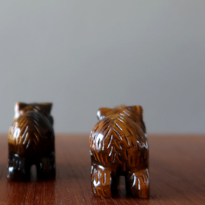 back of two Tigers Eye Bears 
