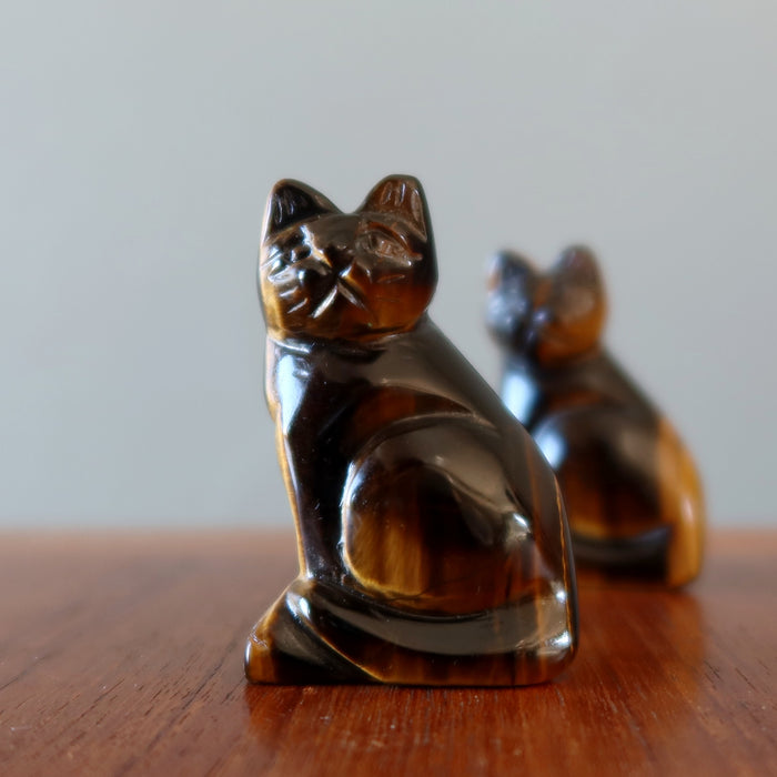 two golden tigers eye cat