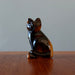 golden tigers eye cat on table