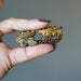 finger tips holding two Tigers Eye dragon statues 