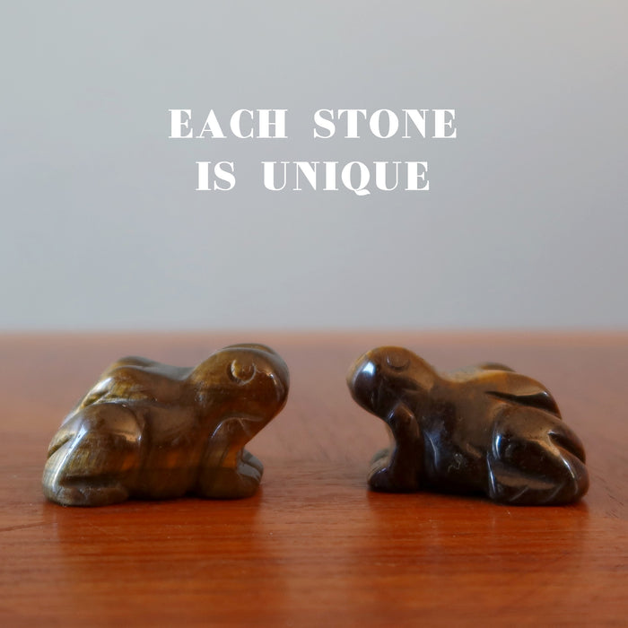 two Tigers Eye Frogs