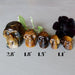 row of 5 tigers eye skulls to show varying sizes with mint and black flower in the background