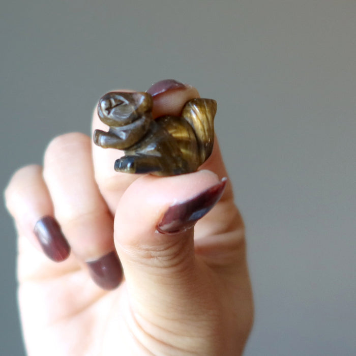 hand holding a Tigers Eye squirrel