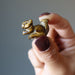 hand holding a Tigers Eye squirrel