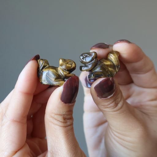 two hands holding 2 Tigers Eye squirrels 