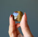 hand holding faceted tigers eye diamond cut cabochon