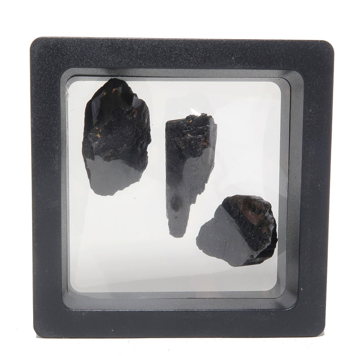 three raw Black Tourmalines in floating case
