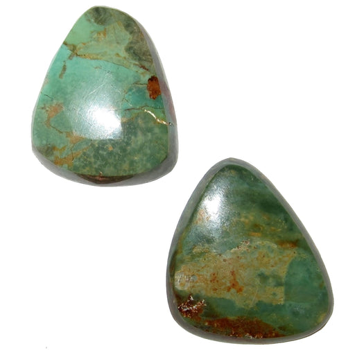 two Turquoise Polished Stones 