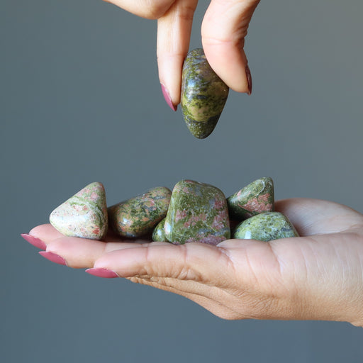 Unakite Tumbled Stone Set  on the left palm and one picked by two fingers onright hand 